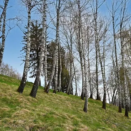 Traum Mit Privatwald 別荘